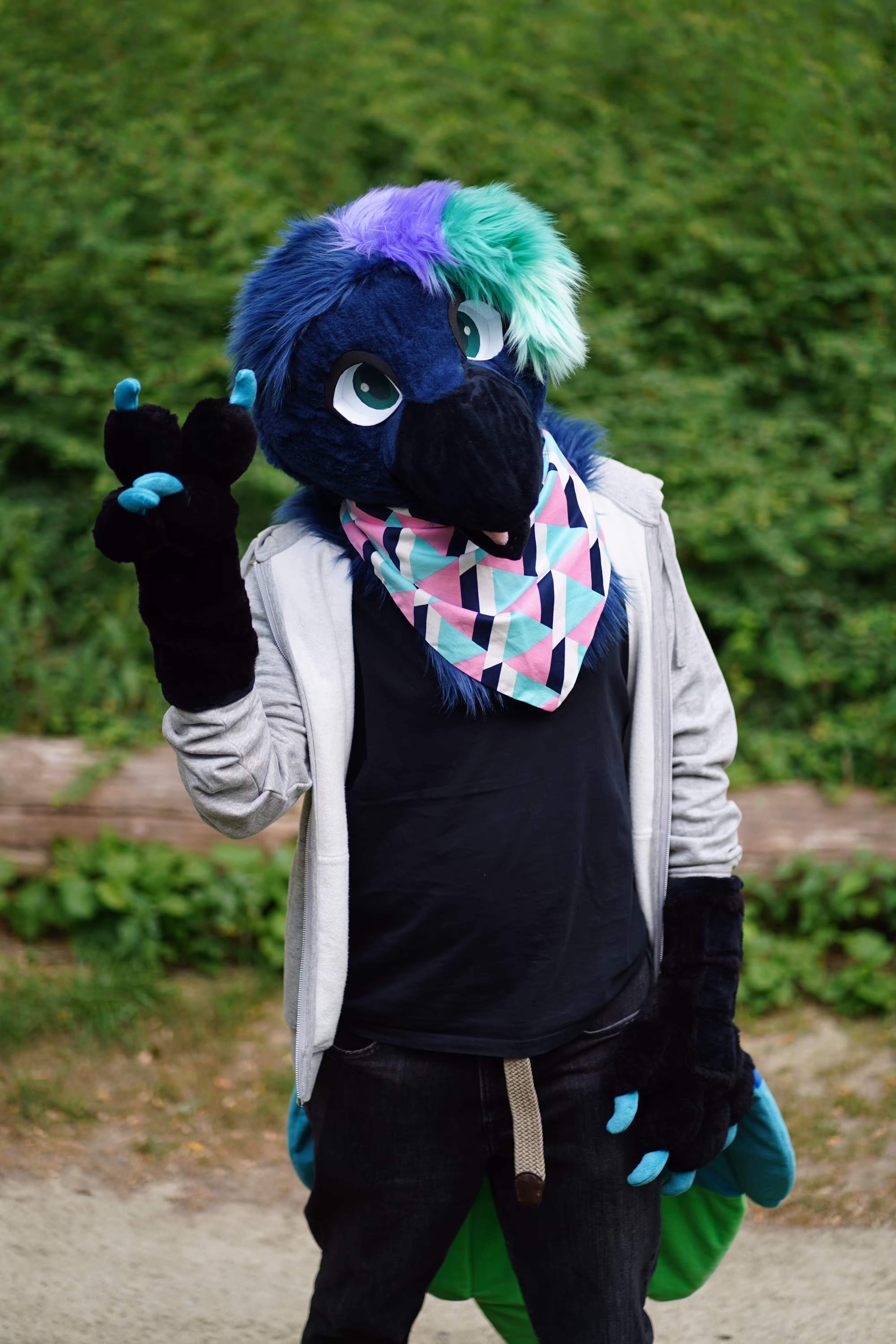 Corbeau Mini Partial