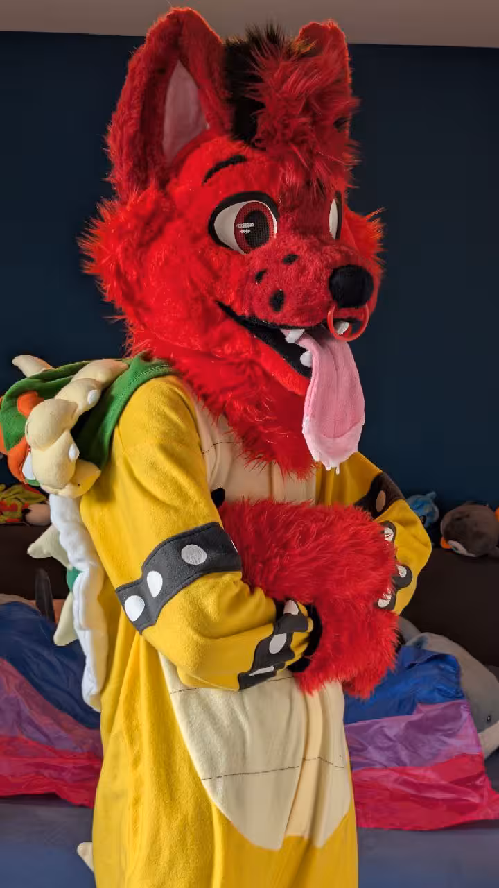 Cyclus Head and Tail