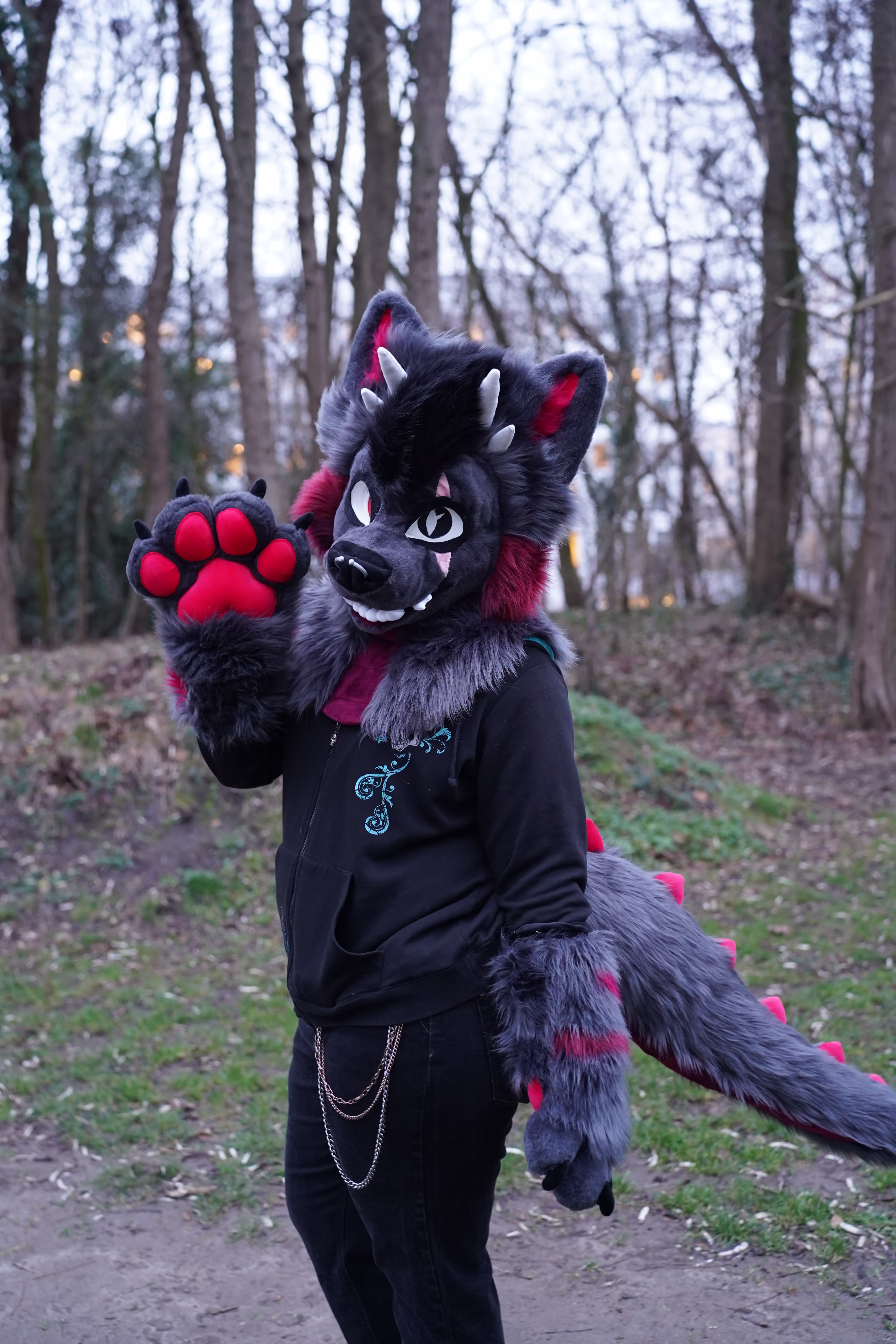 Raptør Mini Partial